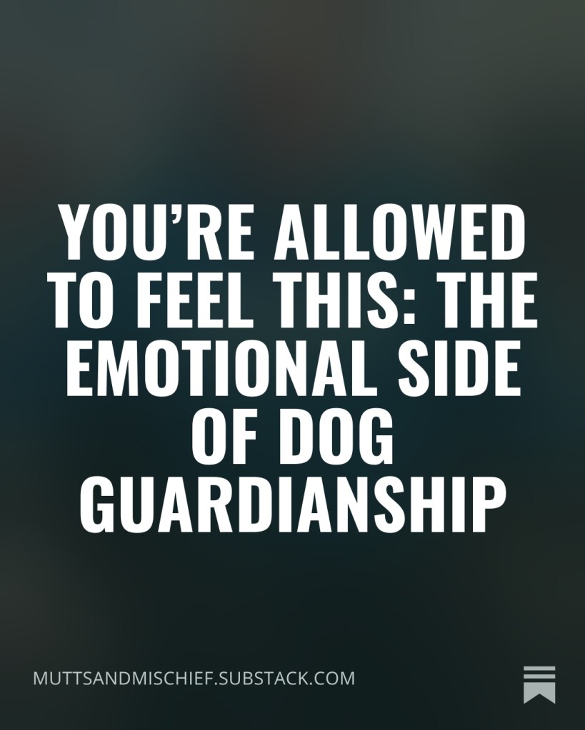 Text graphic reading 'You’re Allowed to Feel This: The Emotional Side of Dog Guardianship'. Background features a blurred image.