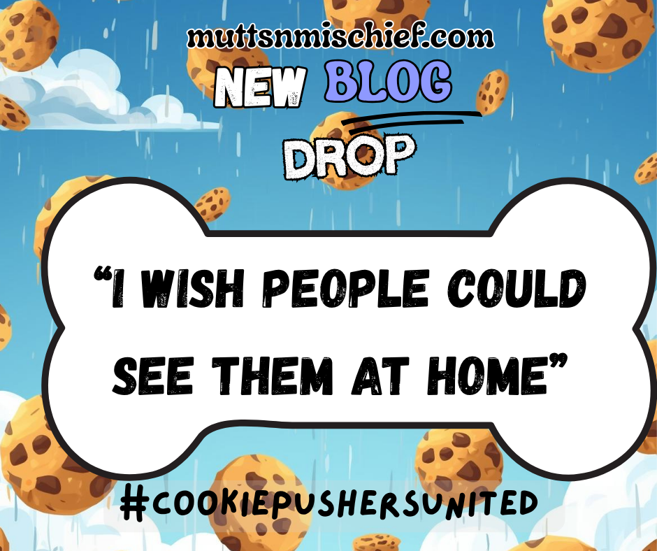 Blue sky with cookies falling; text on bone-shaped sign: "I wish people could see them at home." URL and hashtag included.